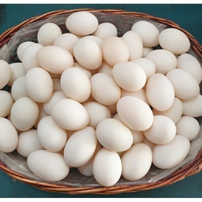 Health Supplements/Duck Eggs
