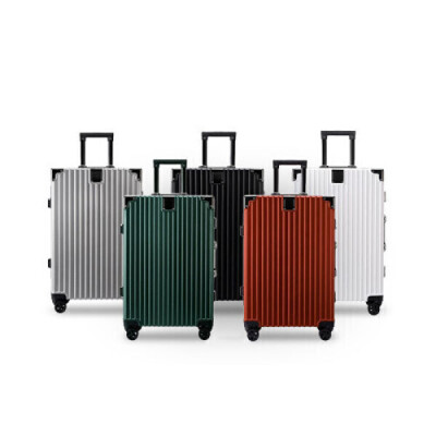Travel Luggage BagModernAluminumFrameTrunk