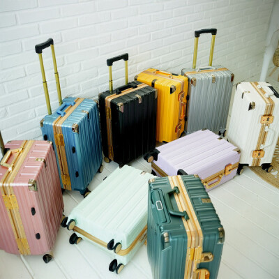 Pastel/Travel Carrier Bag/Carry-On Luggage/Carrier/Travel Bag/Polycarbonate
