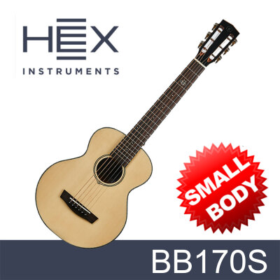 Hex/HIVE/D-100/For Beginners/Acoustic Guitar