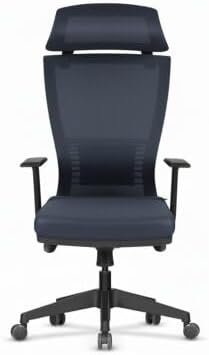 Atom Ofis Tiffany Antrasit Yönetici Çalışma Koltuğu, Ergonomik Ofis Sandalyesi, Mesh File Kumaş, Ayarlanabilir Kol Destekli, 360 Derece Dönebilir, 51x50x125 cm