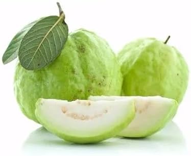 Guava Fruit Seeds White 80pcs