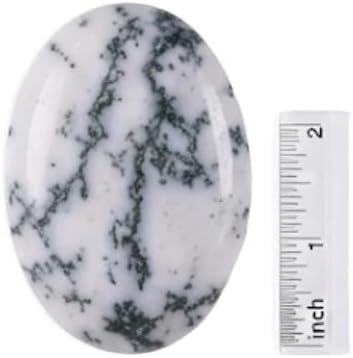 crystalmiracle Tree Agate Single Piece Crystal Worry Stone Healing Reiki Gemstone Gift Feng Shui Handcrafted Thumb Stone