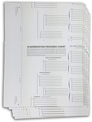 TreeSeek® 15 Generation Pedigree Chart | 5 Pack | Blank Genealogy Forms for Family History and Ancestry Work