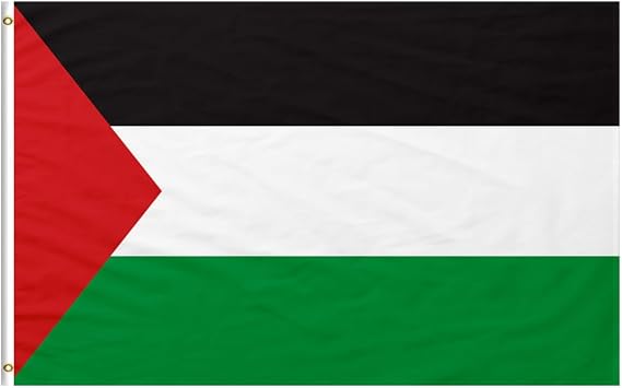 Palestine Flag Large 90 x 150 cm with 2 Metal Eyelets High Quality Palestinian Flag for Balcony Events External Palestine Flag Large Cloth