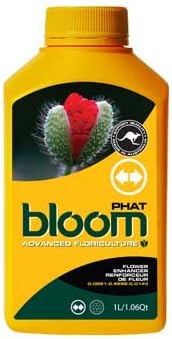 bloom PHAT 300ml