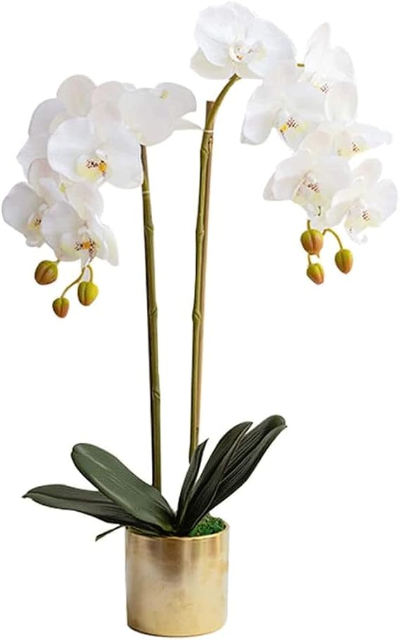 Yapay Çiçek Modern Minimalist Yapay Phalaenopsis Çiçek Vazo Seti Sahte Orkide Ev İç Ofis Dekoru Yapay Çiçekler Güzel Şekil,