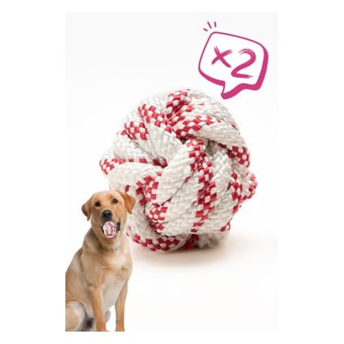 Köpek Oyuncağı 2 Adet Köpek Topu Eğitim Topu Stres İpten Top 9 cm Büyük