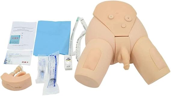 Urinary Catheterization Training Model for Nursing and Medical Education
