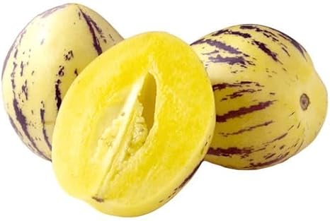 Pepino Fruit Seeds Yellow 50pcs