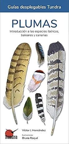Plumas. Introducción a las especies ibéricas, baleares y canarias (MI PRIMERA GUIA DE...)