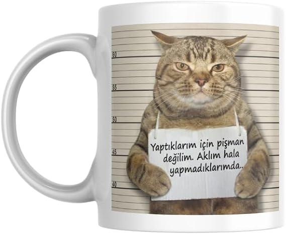 Pişman Değilim Komik Yazılı Kupa Bardak Hediyelik Çay Kahve Kupası Coffee Mug
