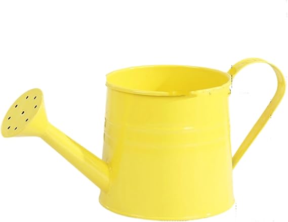 Metal Small Indoor Watering Can, Mini Watering Pot Waterings Can, Houseplant Wateringcan, Long Spout, Mini Wateringpot Waterings Can Outdoor Flower Water Pots, for Flowers Houseplants Gardening