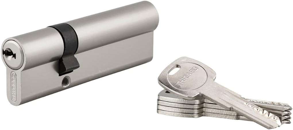 Locking Cylinder Trafic 6 30 x 65 mm