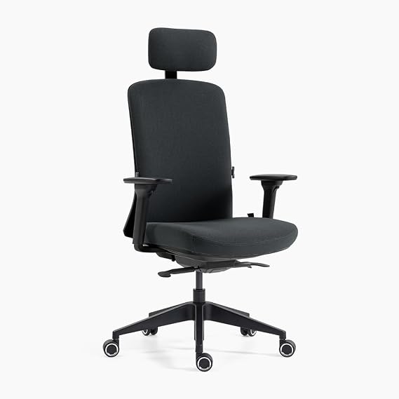 boulies Aura Ergonomic Office Chair, High Back Desk Chair with Adjustable Lumbar Support, Computer Executive Chair, Swivel Chair with Slide Seat&Tilt Lock for Home Office Study (Black, Fabric)