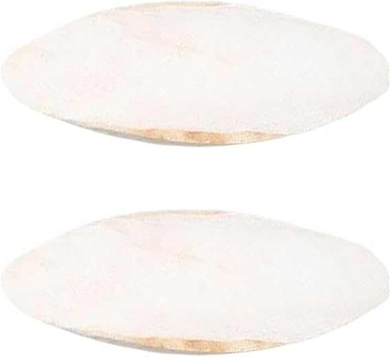 Cuttlebone for Turtles 2 Pieces Bird Cuttlebone