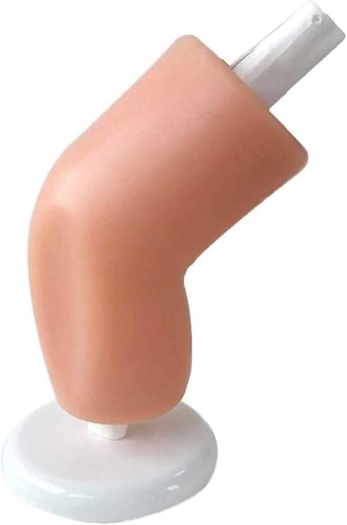 Teaching Model,Arthroscopy Simulation Training Model Orthopedics Knee Joint Model Manikin Teaching Kit For Doctor Medical Students Practice
