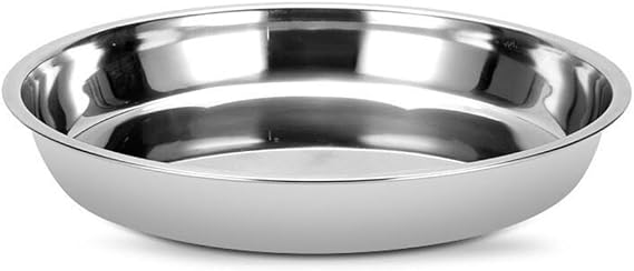 Eawfgtuw for Stainless Steel Serving Tray Round Metal Plate for Commercial Kitchens, Restaurant Quality Dinnerware, Food Service and Catering Buffet Serving Dish,(22cm)