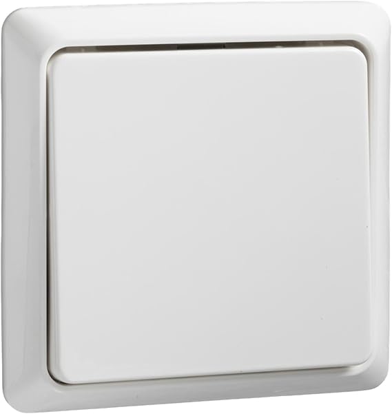 ELSO Switch 506304