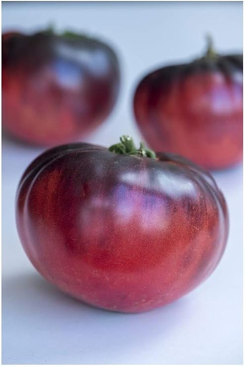 PREMIER SEEDS DIRECT Tomato - Indigo - Blue Beauty - 10 Finest Seeds