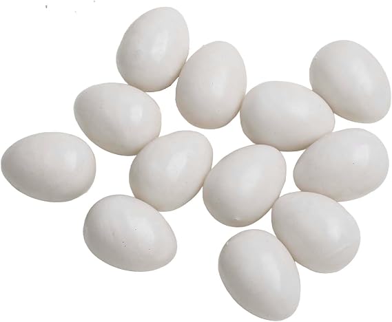 Besttoolifes 12Pcs White Plastic Simulated Pigeon Eggs, Realistic Fake Eggs For Pigeon Hatching And Training, Lasting Reusable Bird Breeding Accessories