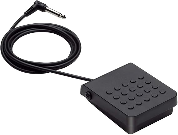 Casio SP-3 - Sustain Pedal Compatible with All Casio Keyboards and Digital Pianos with A Pedal Jack