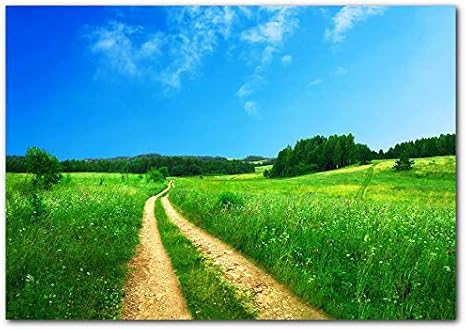 Ahşap Tablo Yemyeşil Çayırları Bölen Patika
