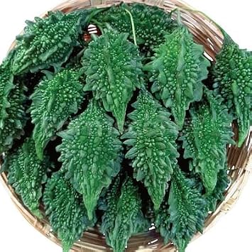 Bolder Bitter Gourd Korola - Small Karela Seeds for Planting - 10 Seeds