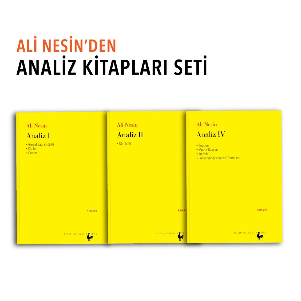 Ali Nesin’den Analiz Seti Karton Kapak – Büyük Kitap, 1 Nisan 2023