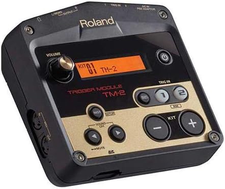 Roland TM2 - TM-2 Acoustic Drum Trigger Module