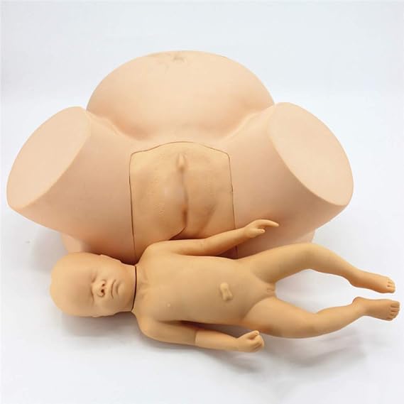 Teaching Model,Birth Simulator Life Size Delivery Maternity Teaching Mold with Standard Size Baby Model and Main Anatomical Landmarks for NursingTraining