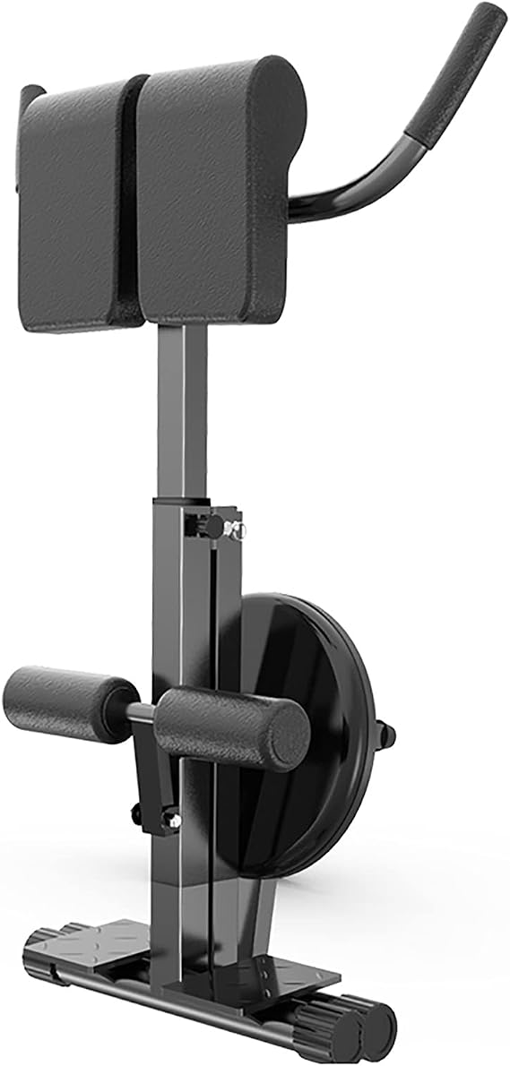 Back Hyperextension Bench - Adjustable Roman Chair for Strength Training, Home Gym AB Exercise Machine with Waist Twisting Disc