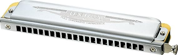 Tombo 1244C Dragonfly Chromatic Harmonica 22 Holes Slide Type Unica 1244C Set with Commercial Materials