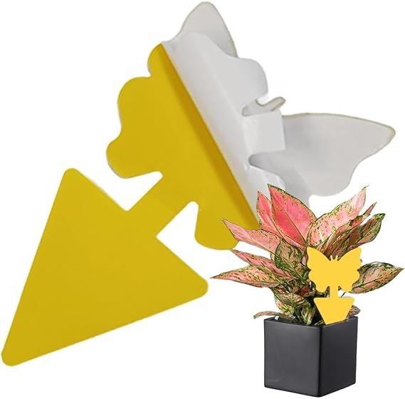 Ram® 30 PCS Fruit Fly Traps Double Sided Fungus Gnat Sticky Catcher For Multiple Insects Plant Fly Control Indoor Fly Catcher