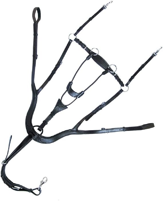 Kavalkade Vorderzeug Caya 5-Punkt, anatomisch, schwarz, Vollblut