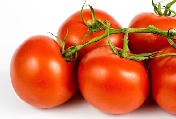 Tomato Moneymaker Seeds – Heirloom Tomato Collection & Salad Mix – 200 Premium Seeds – Heritage Garden Pack for UK Growing