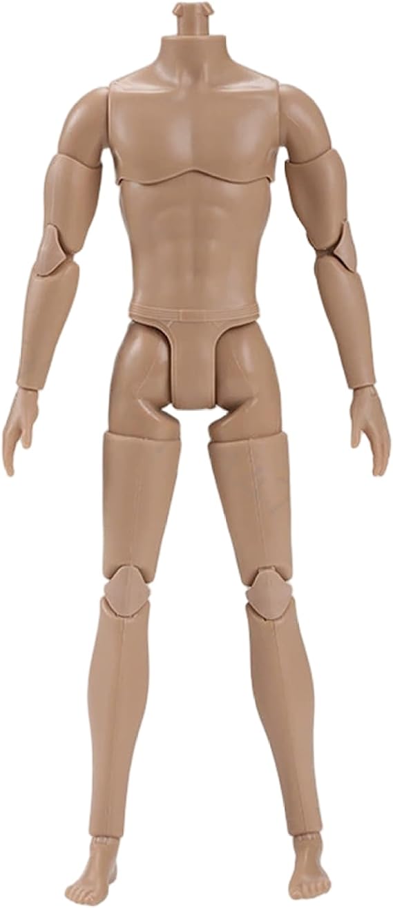 1/6 Scale Action Figure, Multi Jointed Movable Male Muscular Action Figure Body for Display Doll Collection, Medium