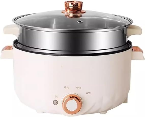Multifunctional Electric Cooker, 0.8 gal 3 L Large Capacity, Single Serving, Electric Pot, Multi-Cooker, Value Set Double Layer, White