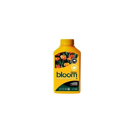 Bloom Yellow Bottles Final