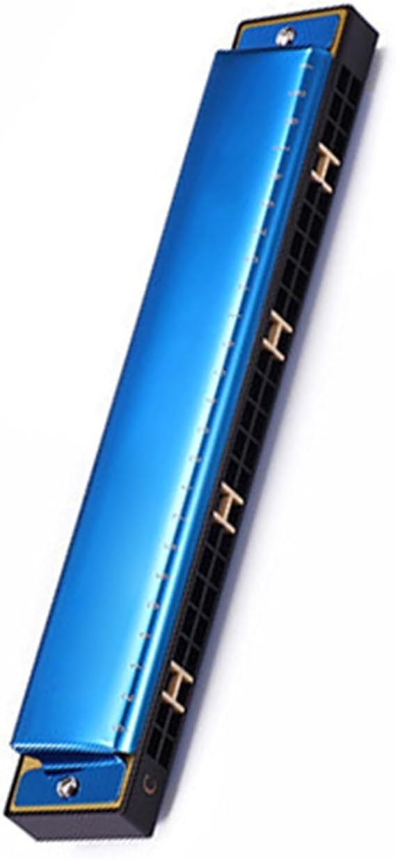 Beginners harmonica Harmonica 24 Holes Polyphonic C Tune Beginner Self-study Entry-level Instrument Harmonica(Blue)
