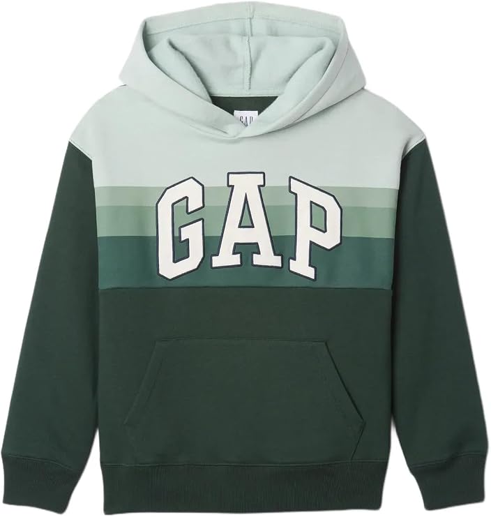 GAP Boy's Logo Pullover Hoodie Sweatshirt