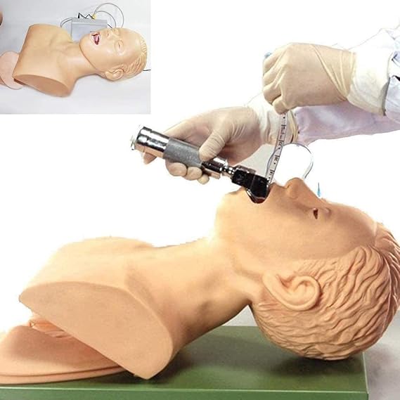 Airway Management Trainer, Oral Nasal Intubation Manikin Simulator for Medical Training, Teaching Study Model, Intubation Head for Healthcare Education