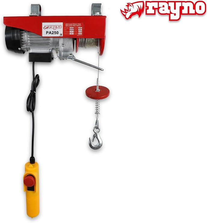 RAYNO Elektrikli Mini Vinç 250-500 kg - RAYNOEMV250-500