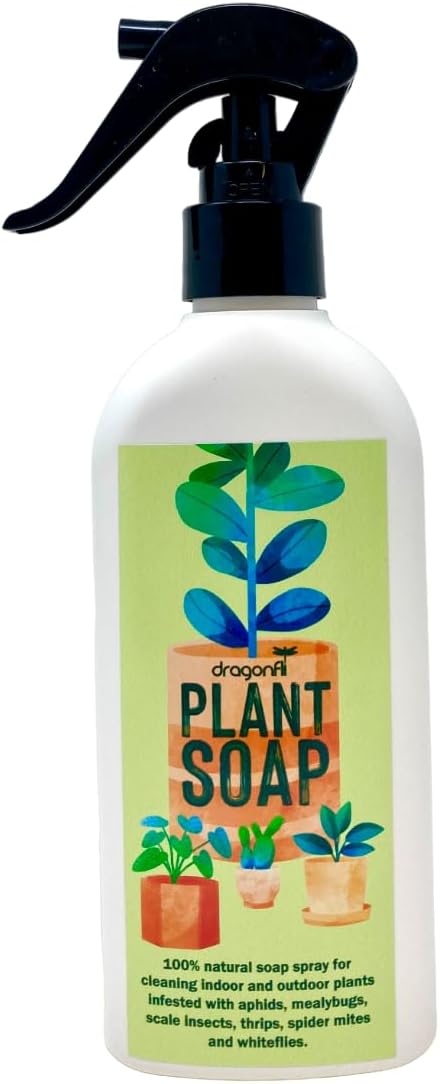 Dragonfli Plant Soap - Natural House Plant Cleanser - Combats Insect Pests & Diseases