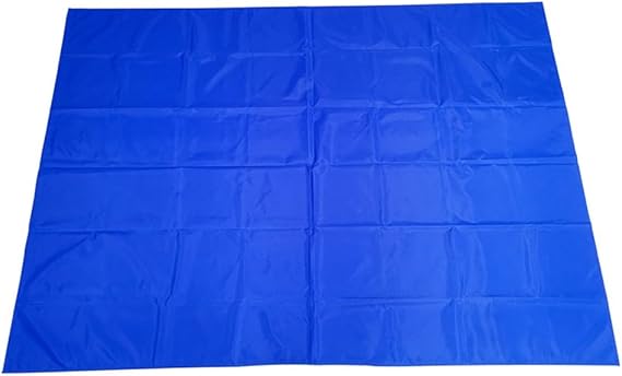 Elderly Slide Bed Sheet Nylon Coated for Smooth Transfers in Home