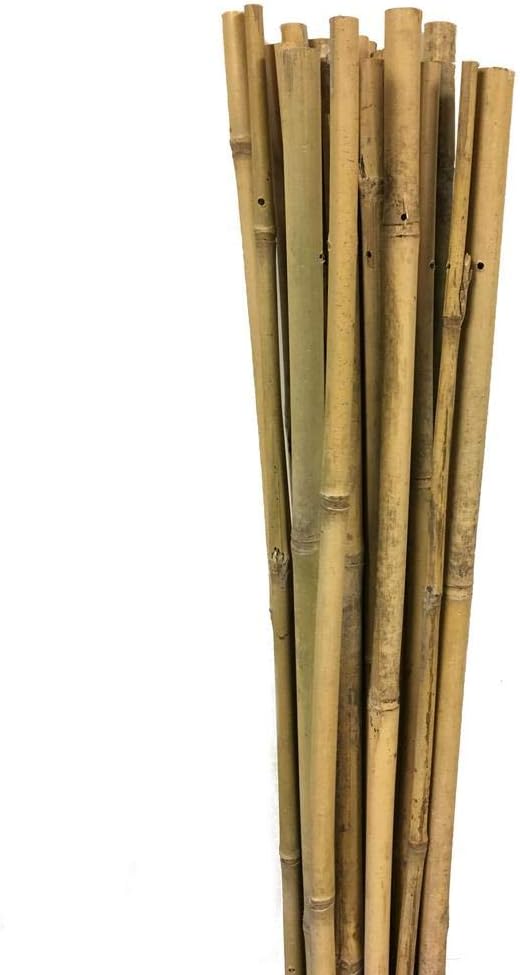 Gardener 63712 Bambu Destek Çubuğu 10'Lu - 8-10 Mm X 90 Cm