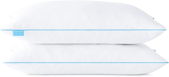 Linenspa 40 x 60 cm Shredded Memory Foam Pillow - Pack of 2