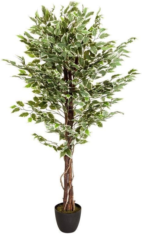 Yapay Ağaç Benjamin Yeşilbeyaz 2 Gövdeli Çalılı 120x70cm Siyah Plastik Saksılı