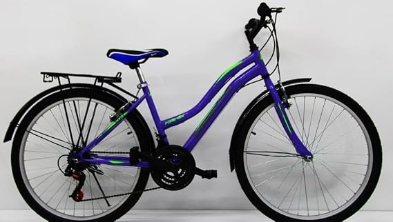 Dorello Bisiklet 2650 Model 26 Jant Bisiklet Şehir Bisikleti Çamurluk Bagaj Sepetli Eflatun