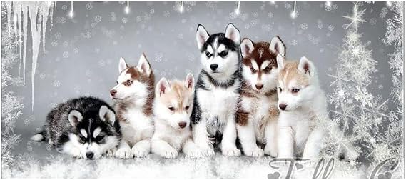 Diamond Painting Kits Full Drill Husky Winter Dog Animal 30x60cm Large Diamond Embroidery Round/Square Drill Crystal Rhinestone Cross Stitch for Adults DIY Diamond Arts Craft Home Wall Decor